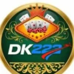DK222 Game