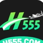 H555 Game