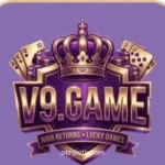 V9 Game